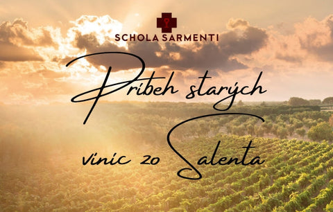 Schola Sarmenti : Príbeh starých viníc zo Salenta