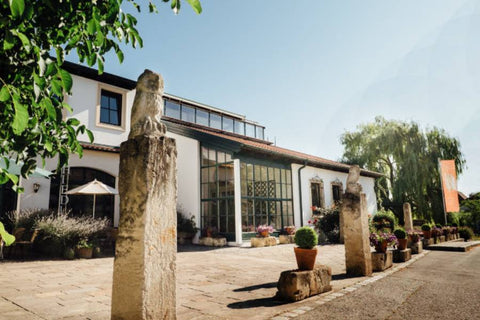 Weingut Hiedler, ikona z Kamptalu
