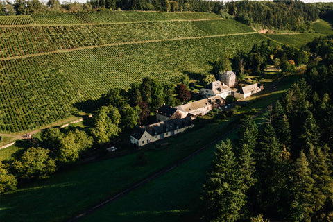 Krištáľové rieslingy od rieky Ruwer