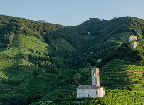 Doviezli sme dokonalé prosecco!