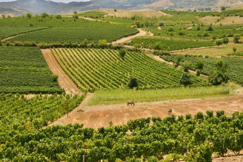EURÓPA - Albánsko a Macedónsko