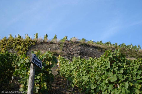 Svetové rizlingy z Weingut Paulinshof