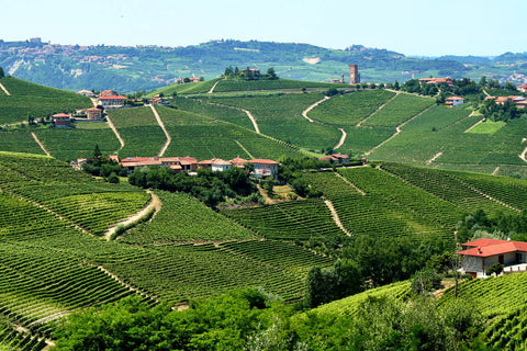 TALIANSKO - Piedmont