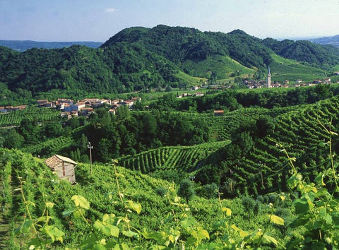 Kde sa vzalo Prosecco?