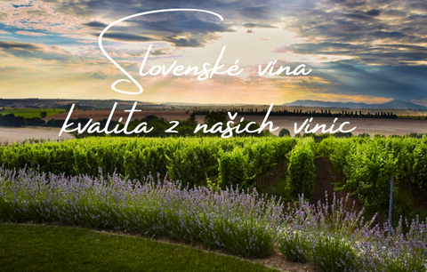 Slovenské vína – kvalita z našich viníc