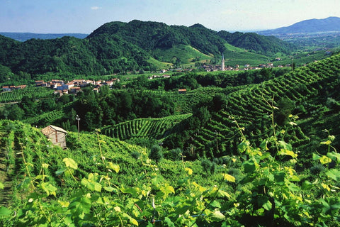 TALIANSKO - Veneto
