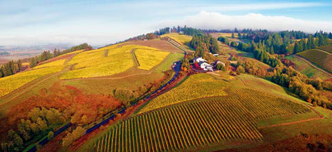Terroir