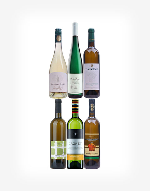 6x Slovenský Rizling Vlašský
