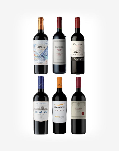 Argentínsky Malbec 6fl.