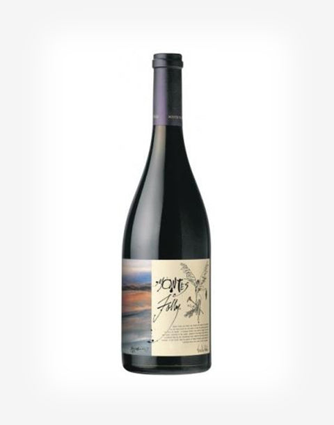 FOLLY Syrah 2019