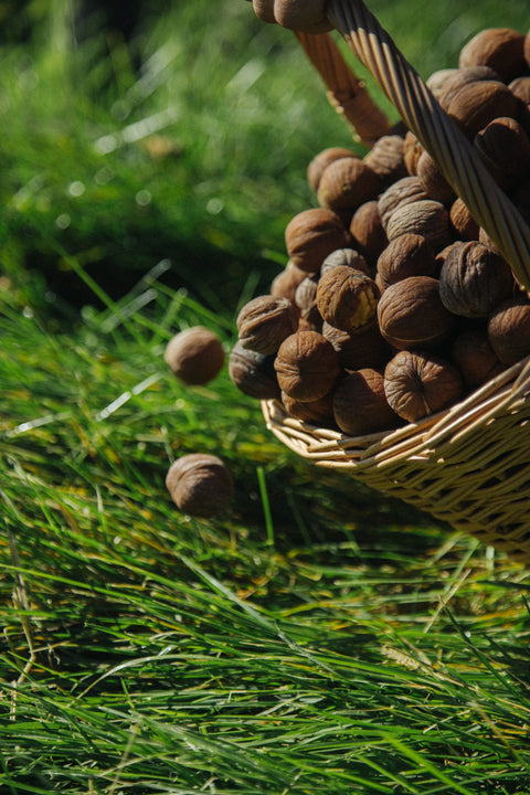 BIO slovenské Vlašské orechy  lúpané 450g