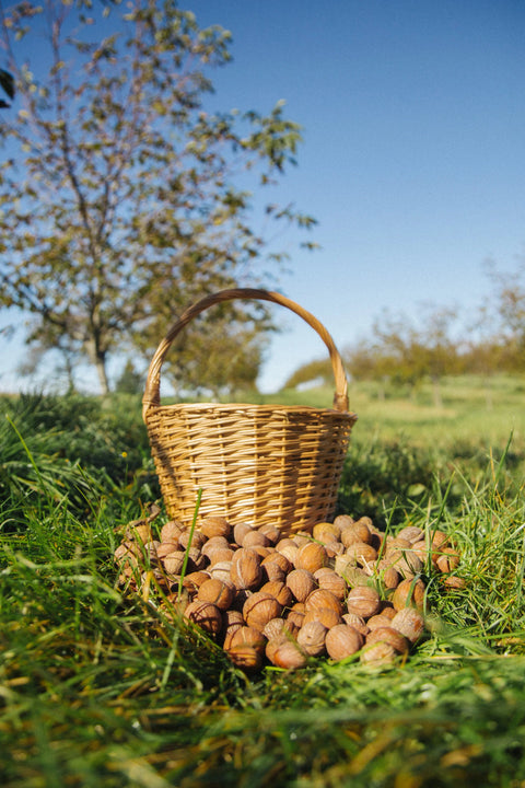 BIO slovenské Vlašské orechy  lúpané 140g
