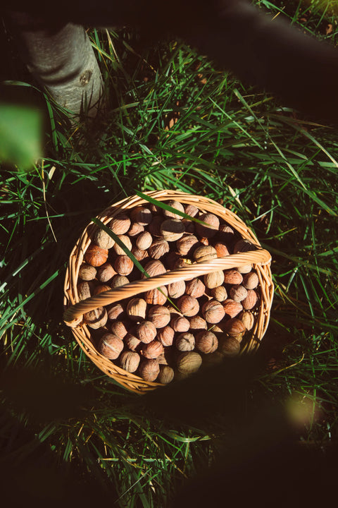BIO slovenské Vlašské orechy  lúpané 280g