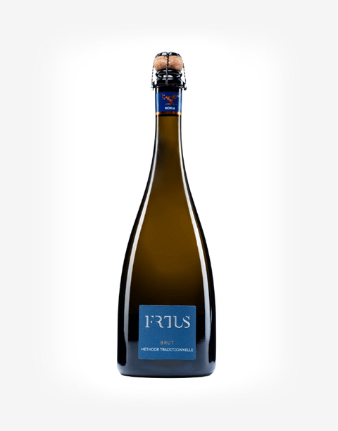 Sekt Noria Tekov 2024