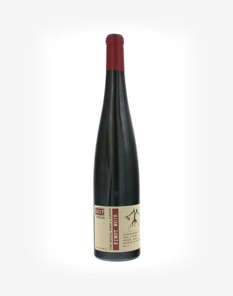 Pinot noir BIO 2017