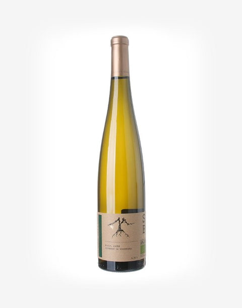 Sauvignon BIO 2021